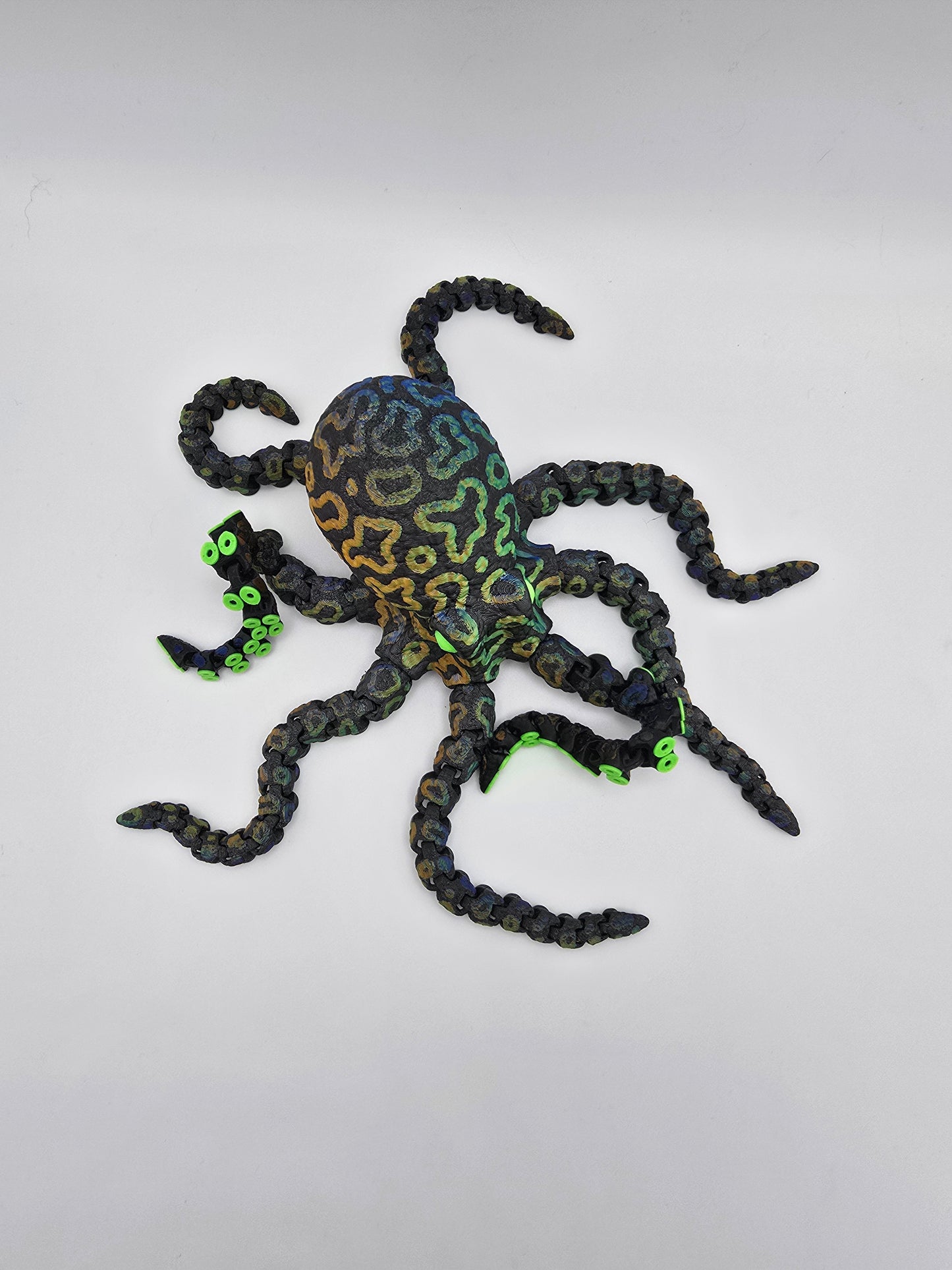 Octopus