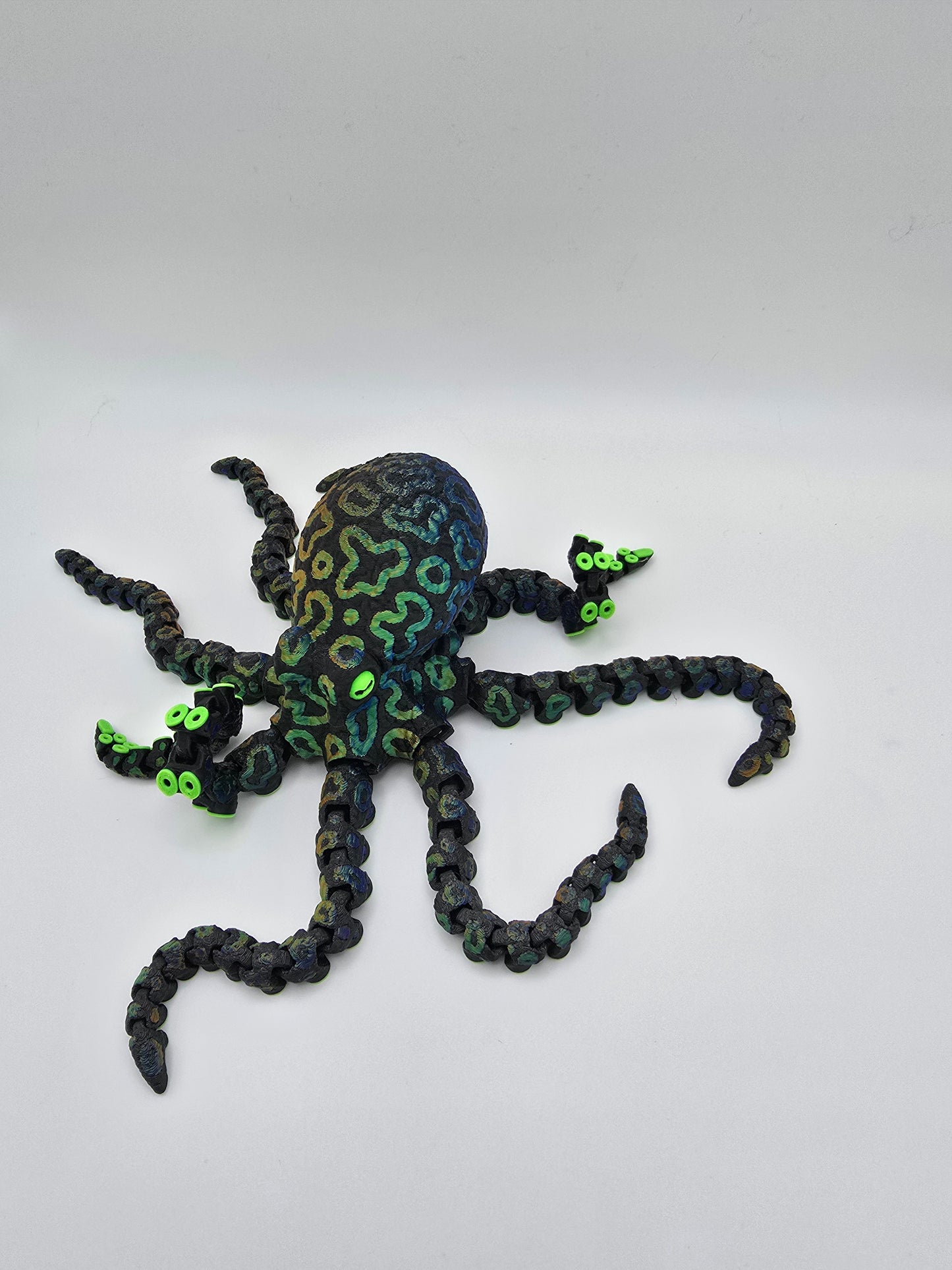 Octopus