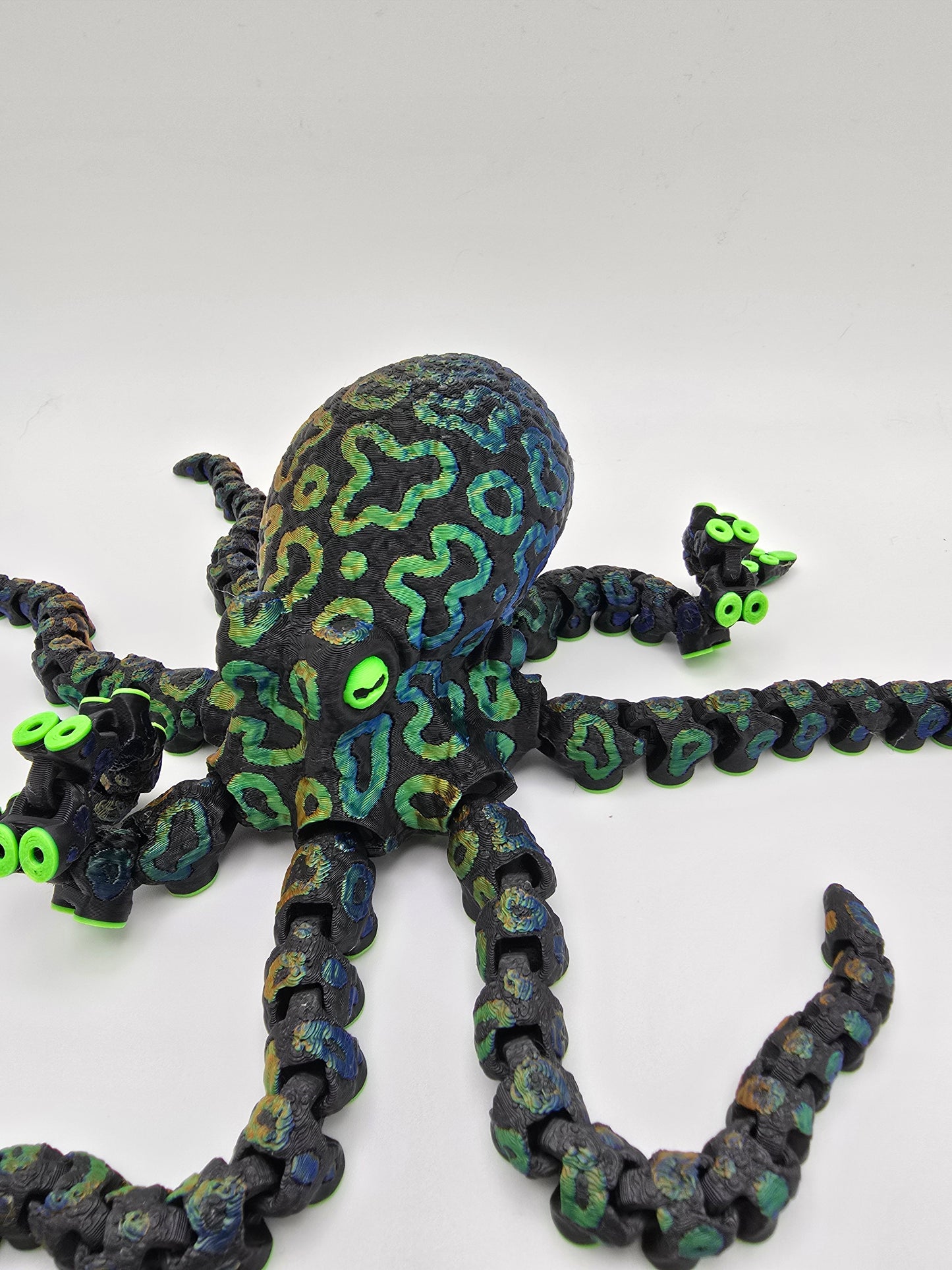 Octopus