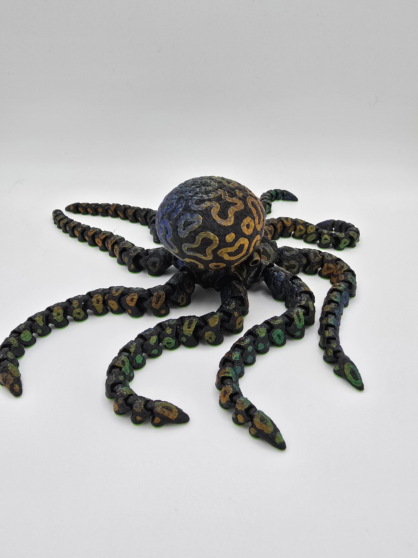 Octopus