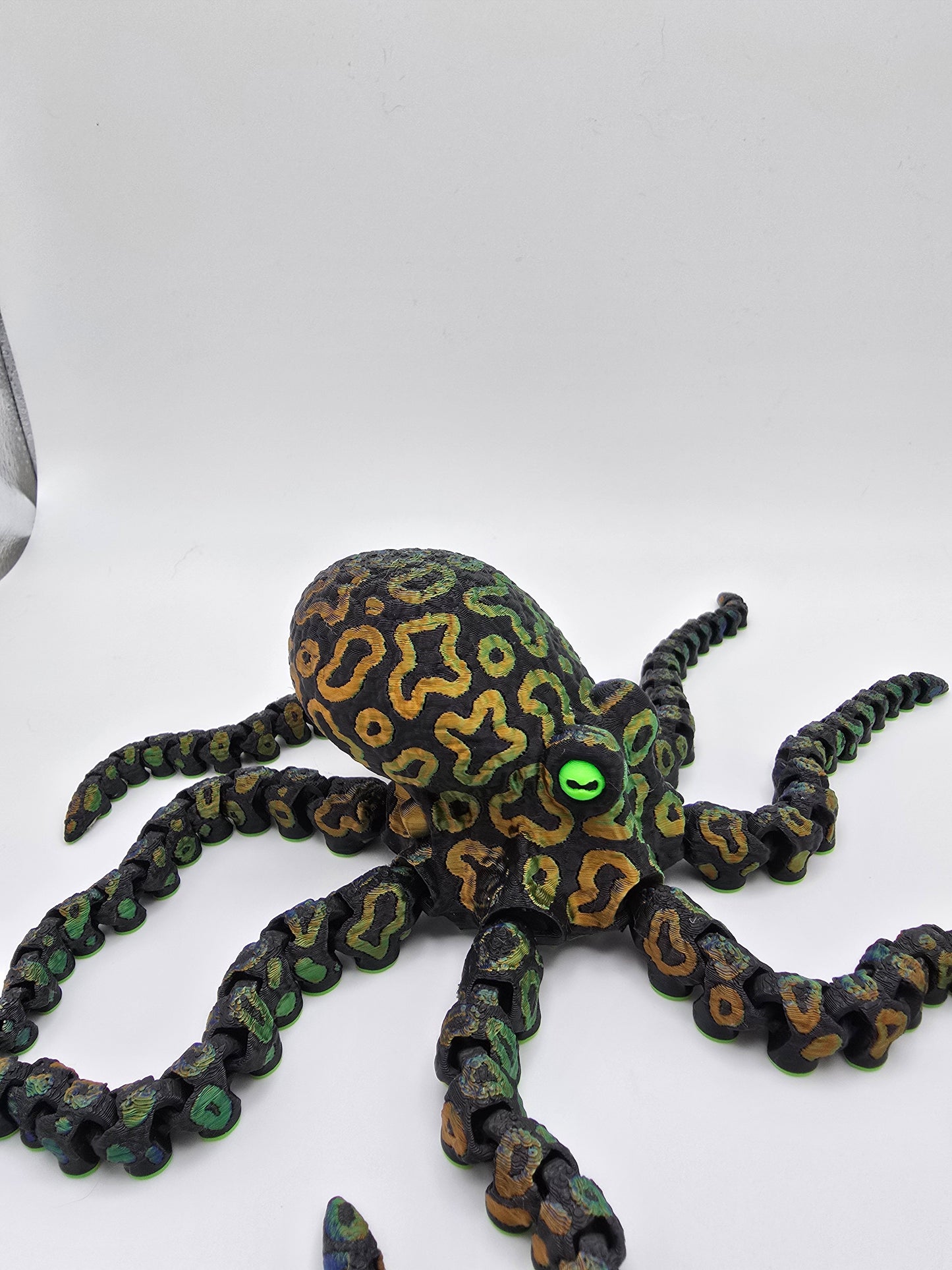 Octopus