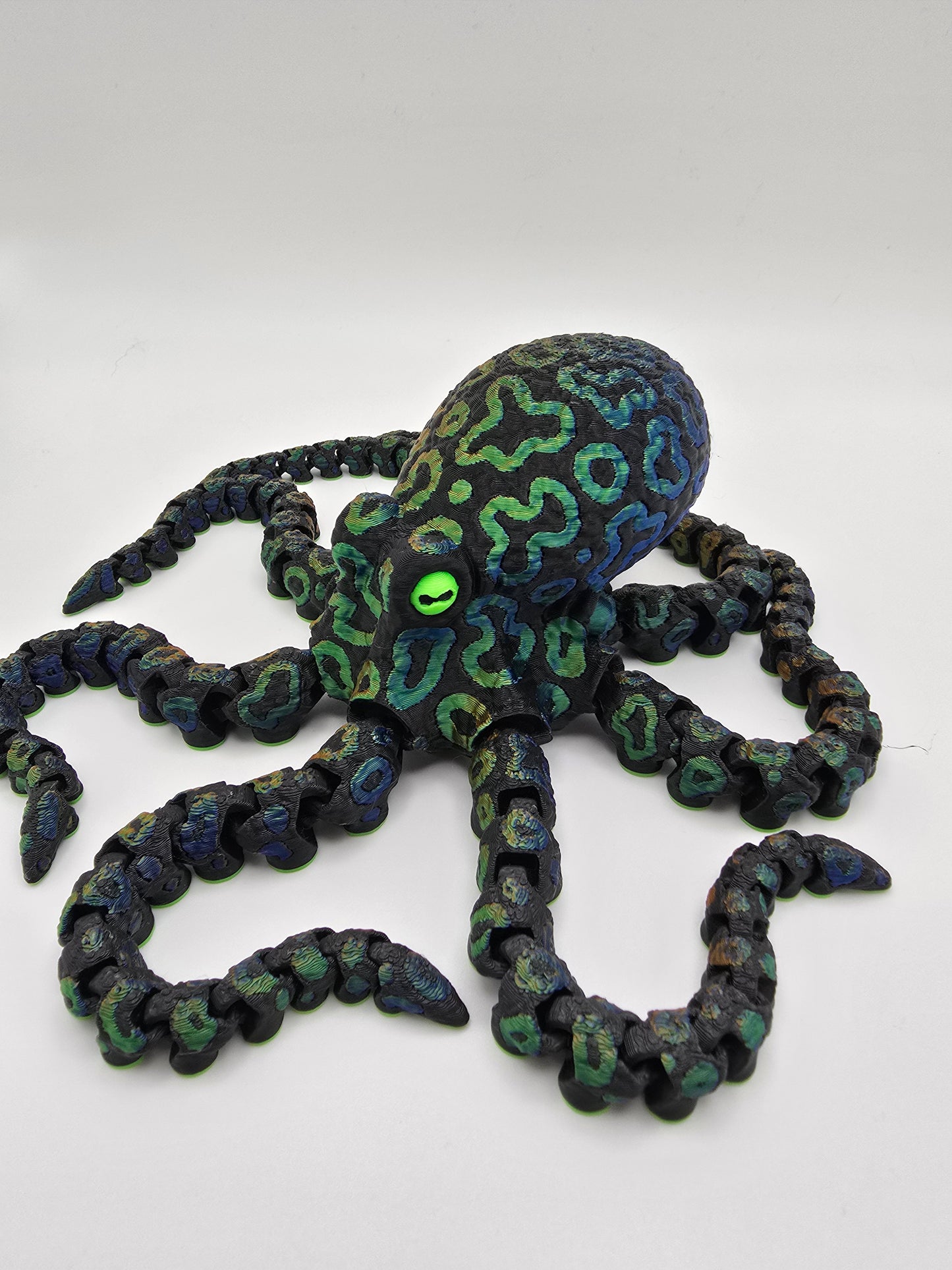 Octopus