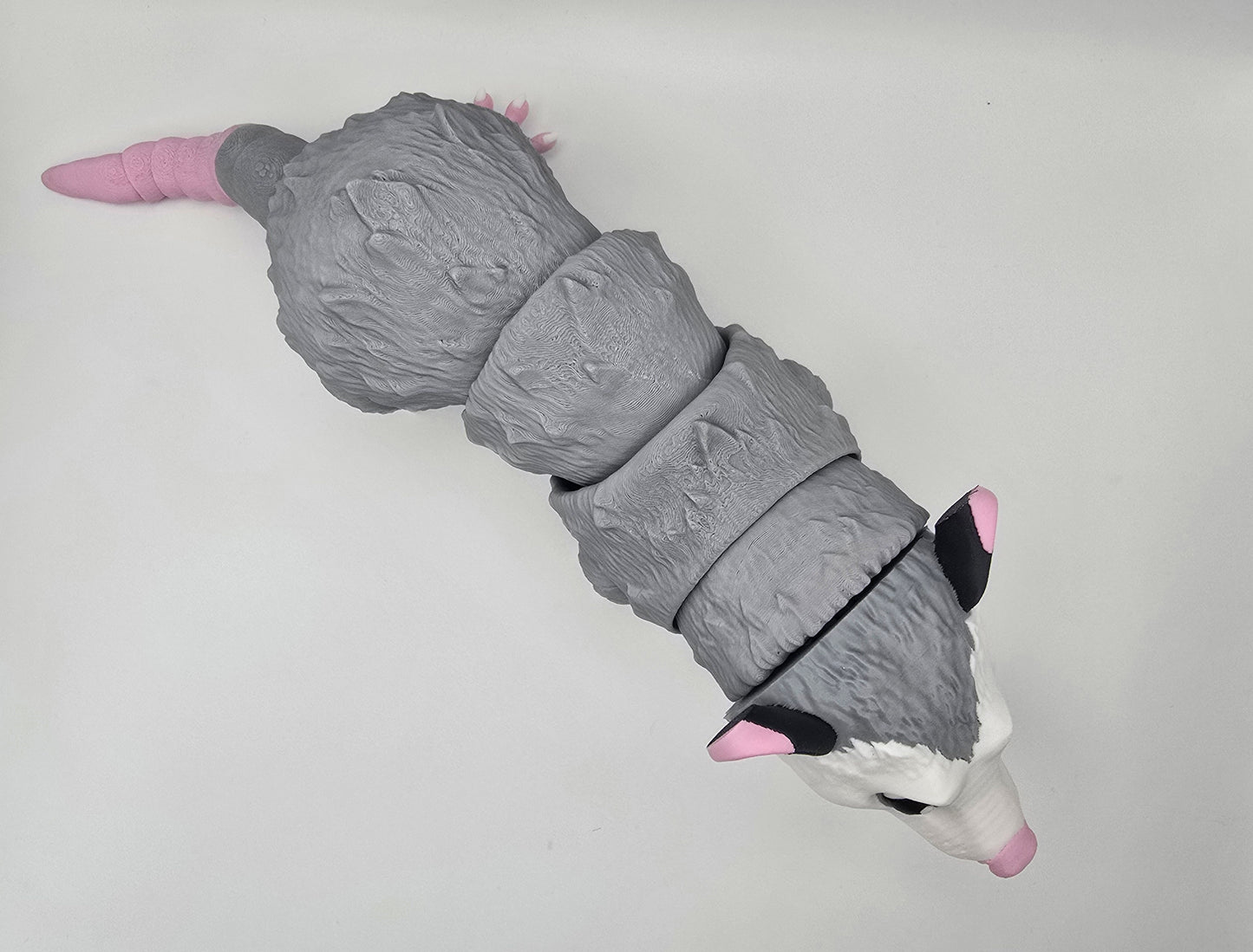 Large Opossum