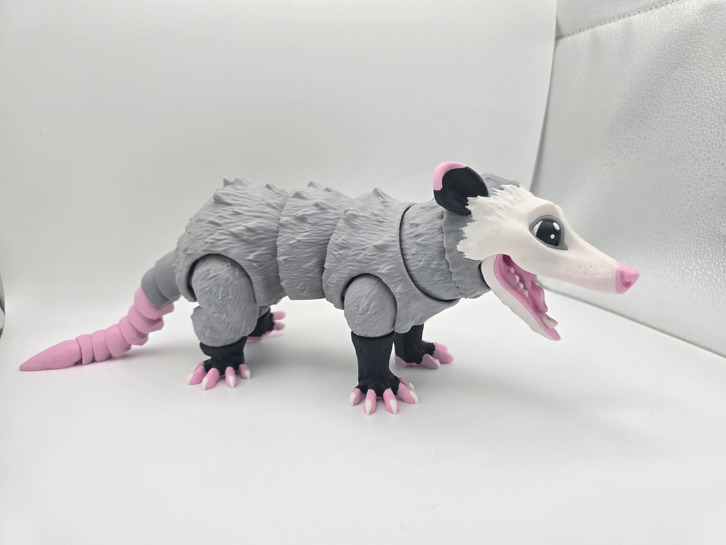 Large Opossum