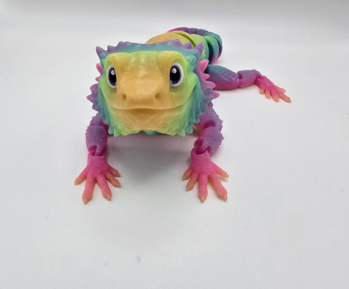 Bearded Dragon