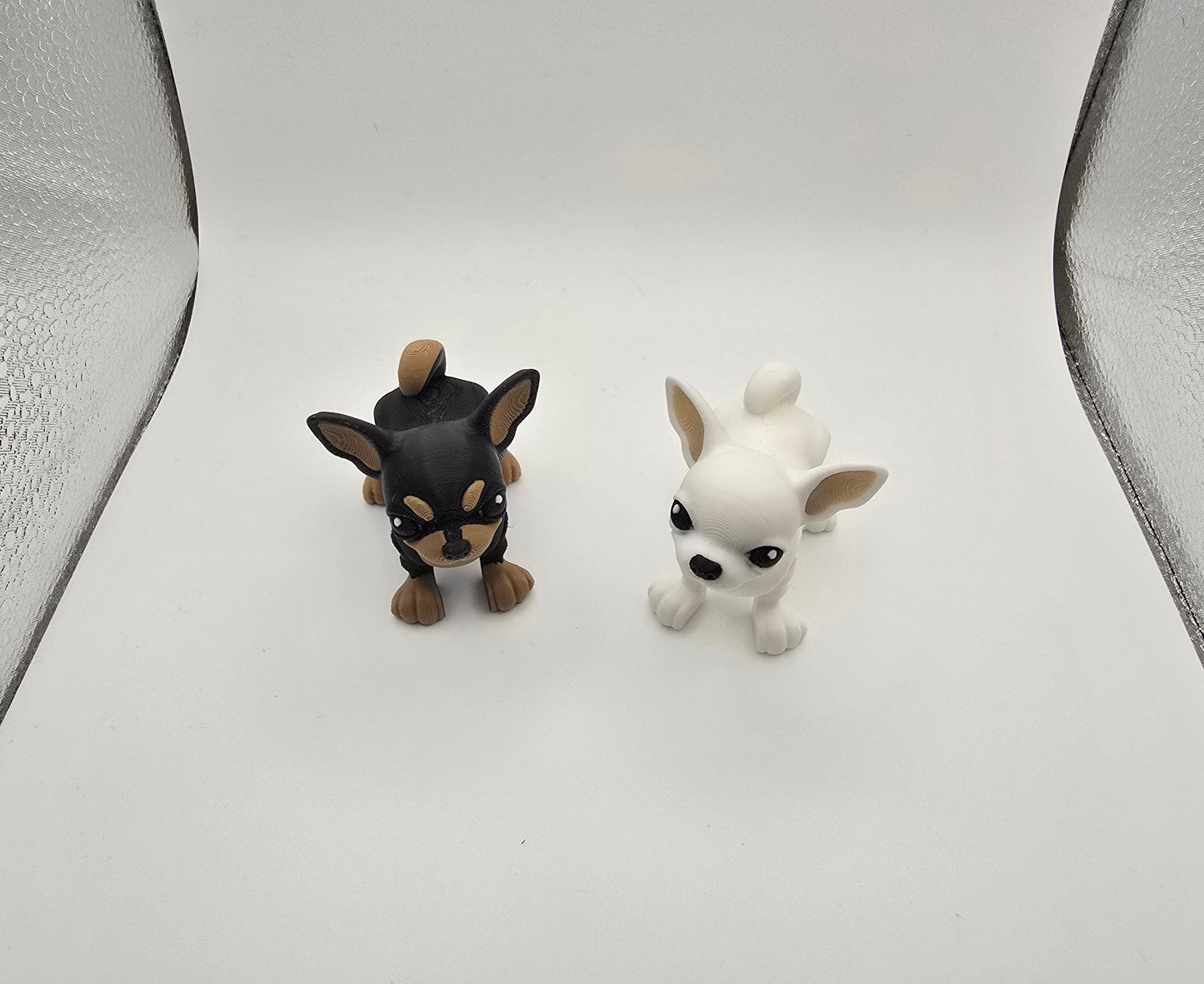 Chihuahua