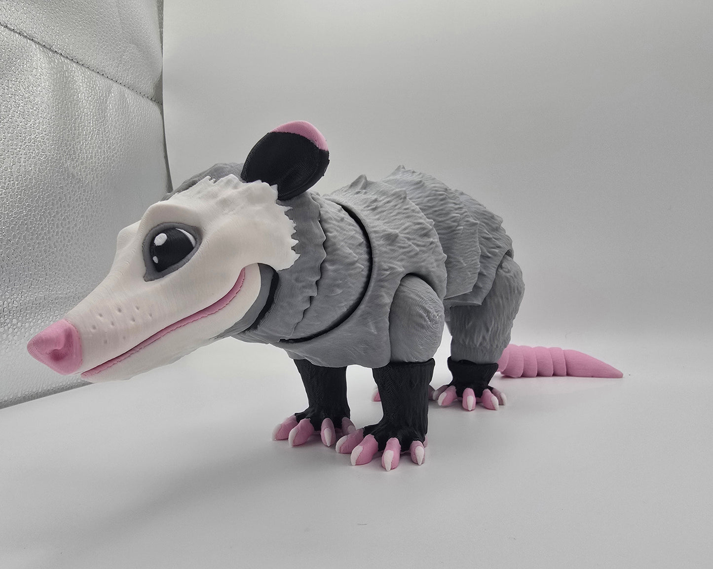 Large Opossum