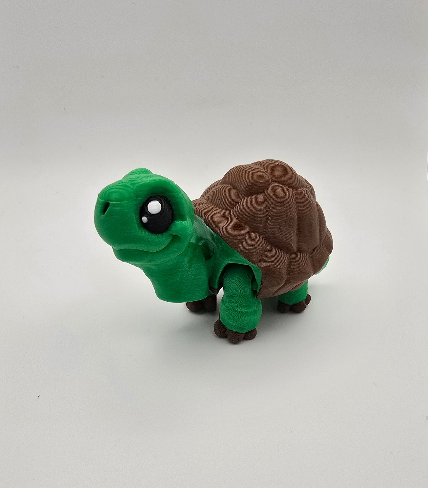 Tortoise