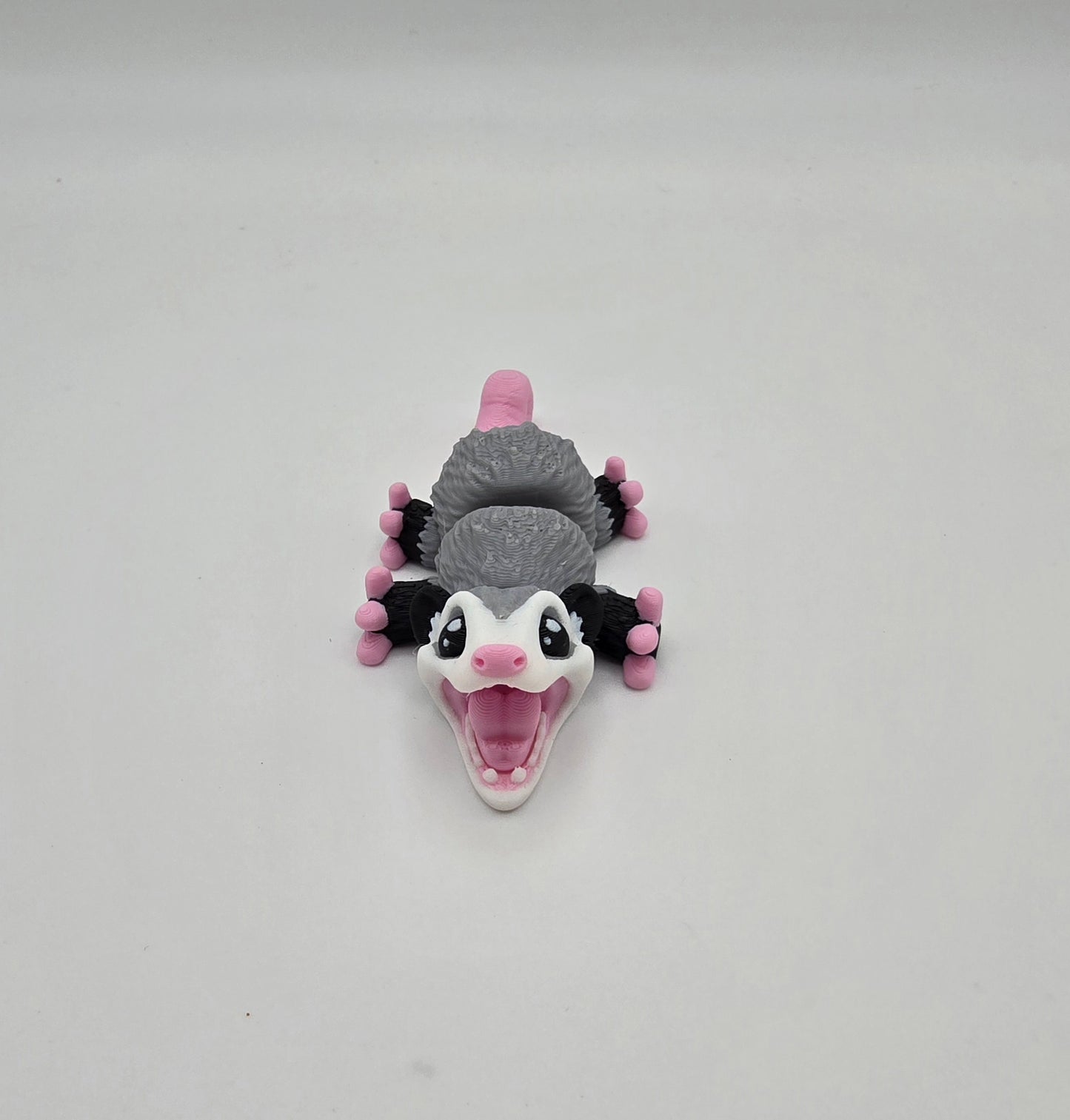 Small Opossum