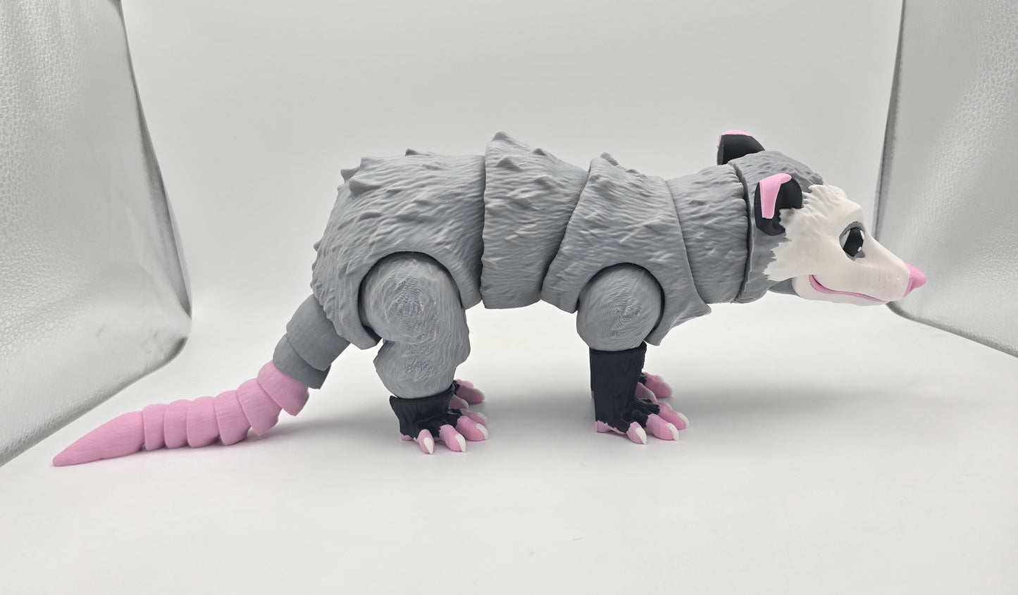Large Opossum