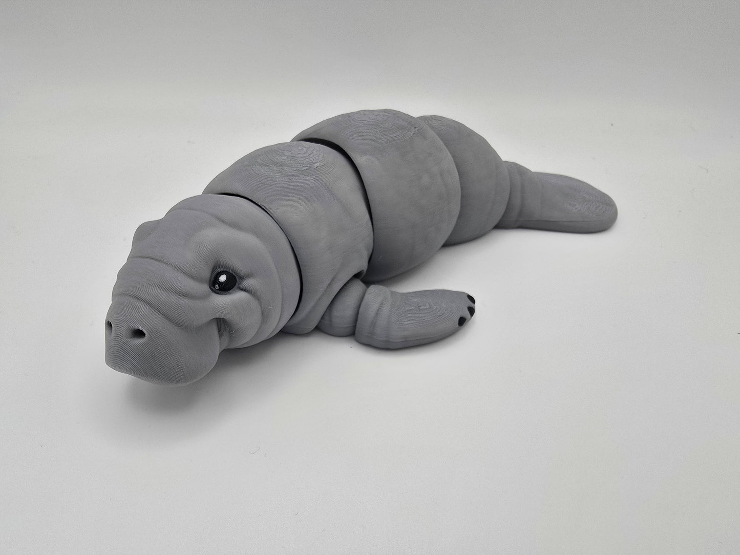 Manatee