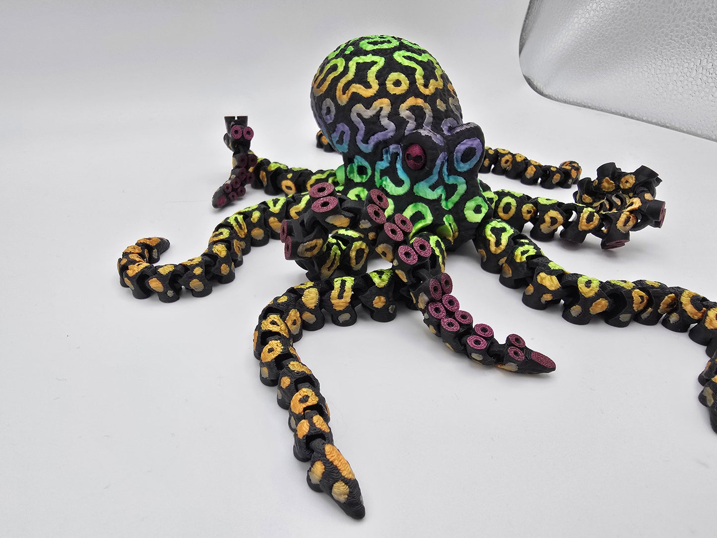 Octopus