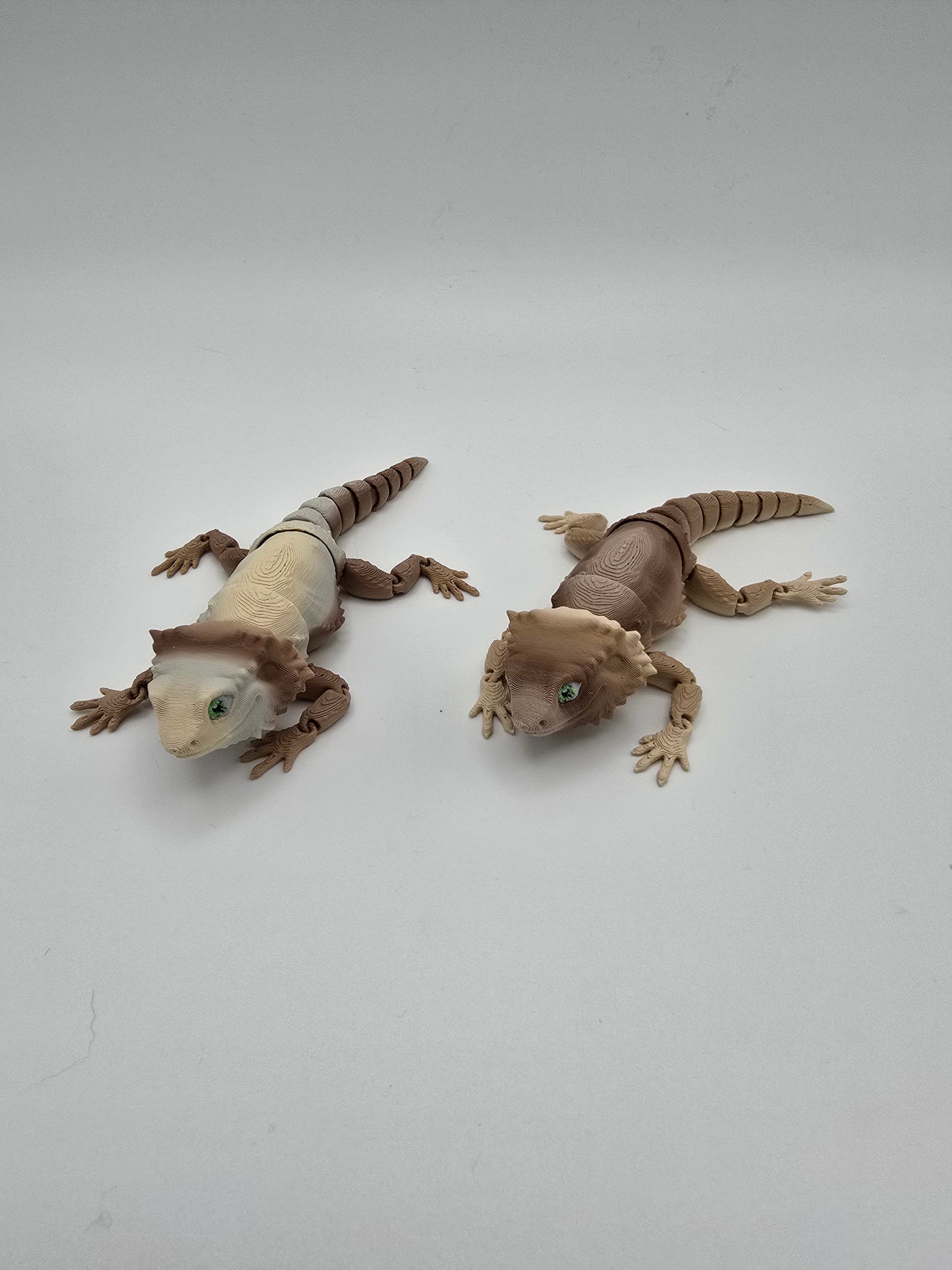 Bearded Dragon