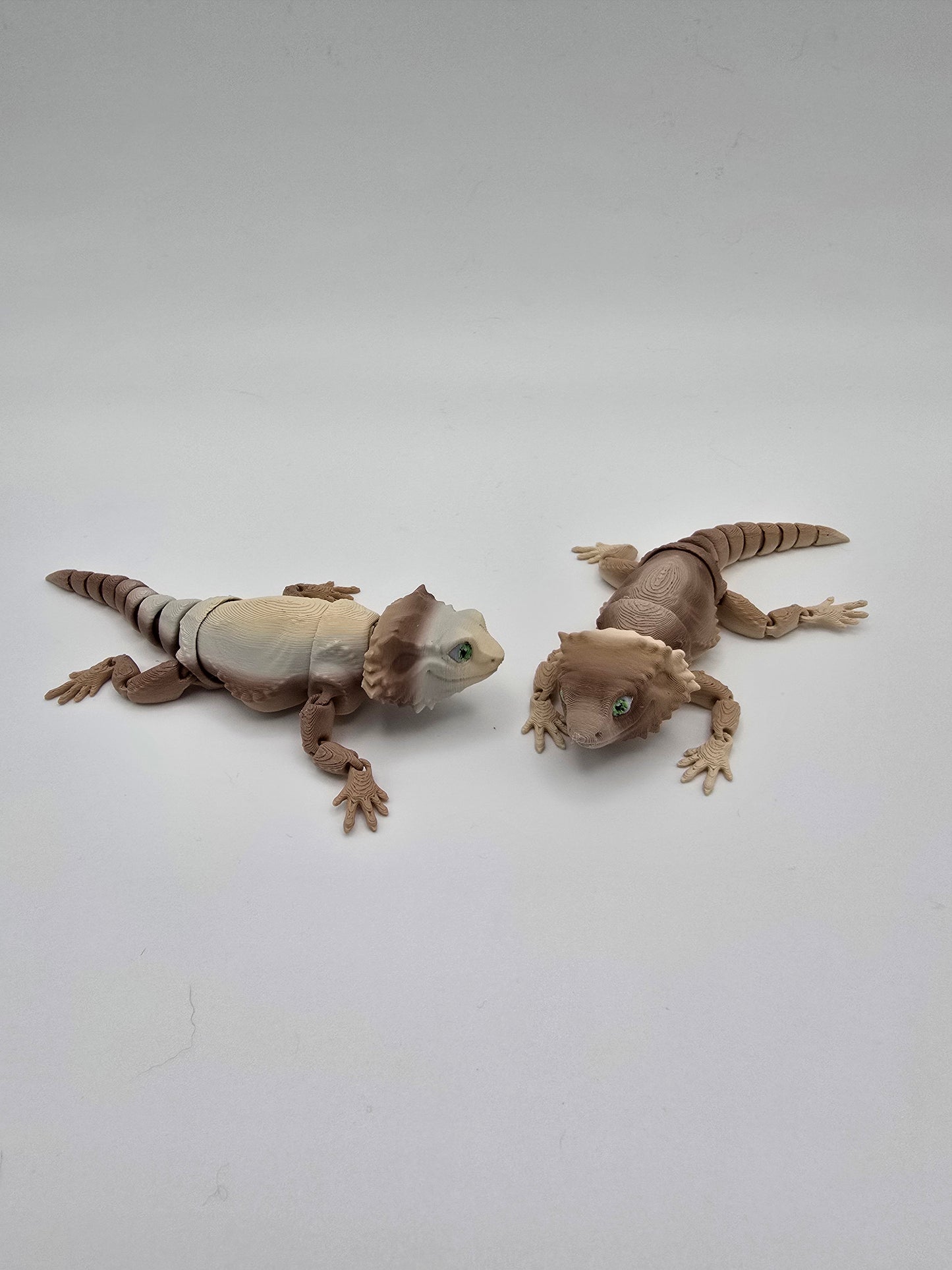 Bearded Dragon