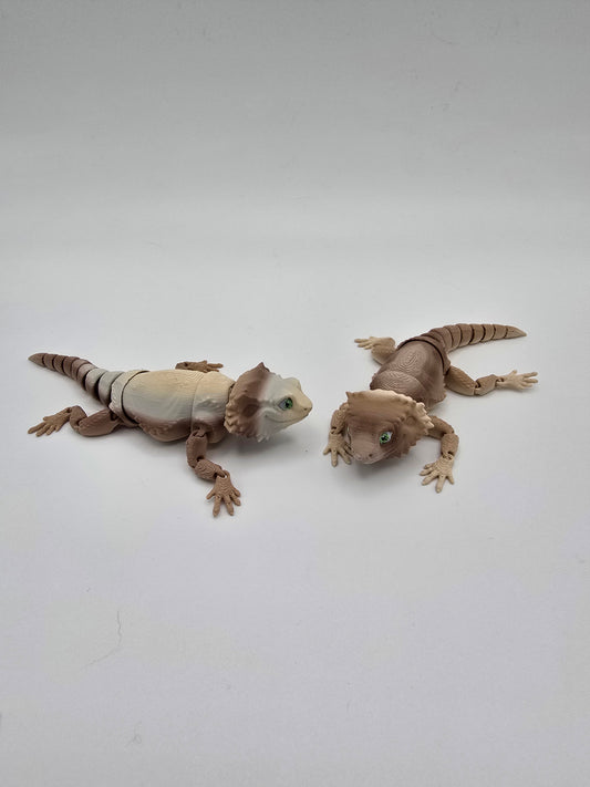 Bearded Dragon