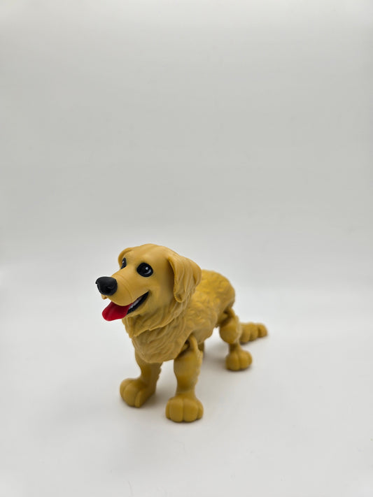 Golden Retriever