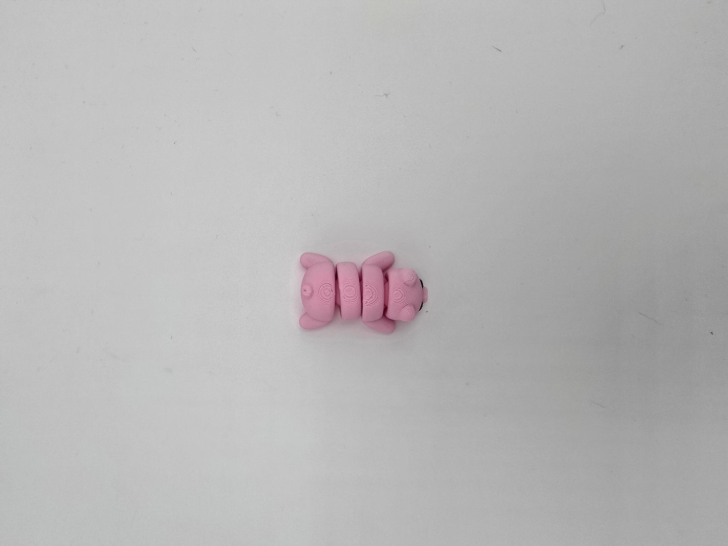 Mini Pig