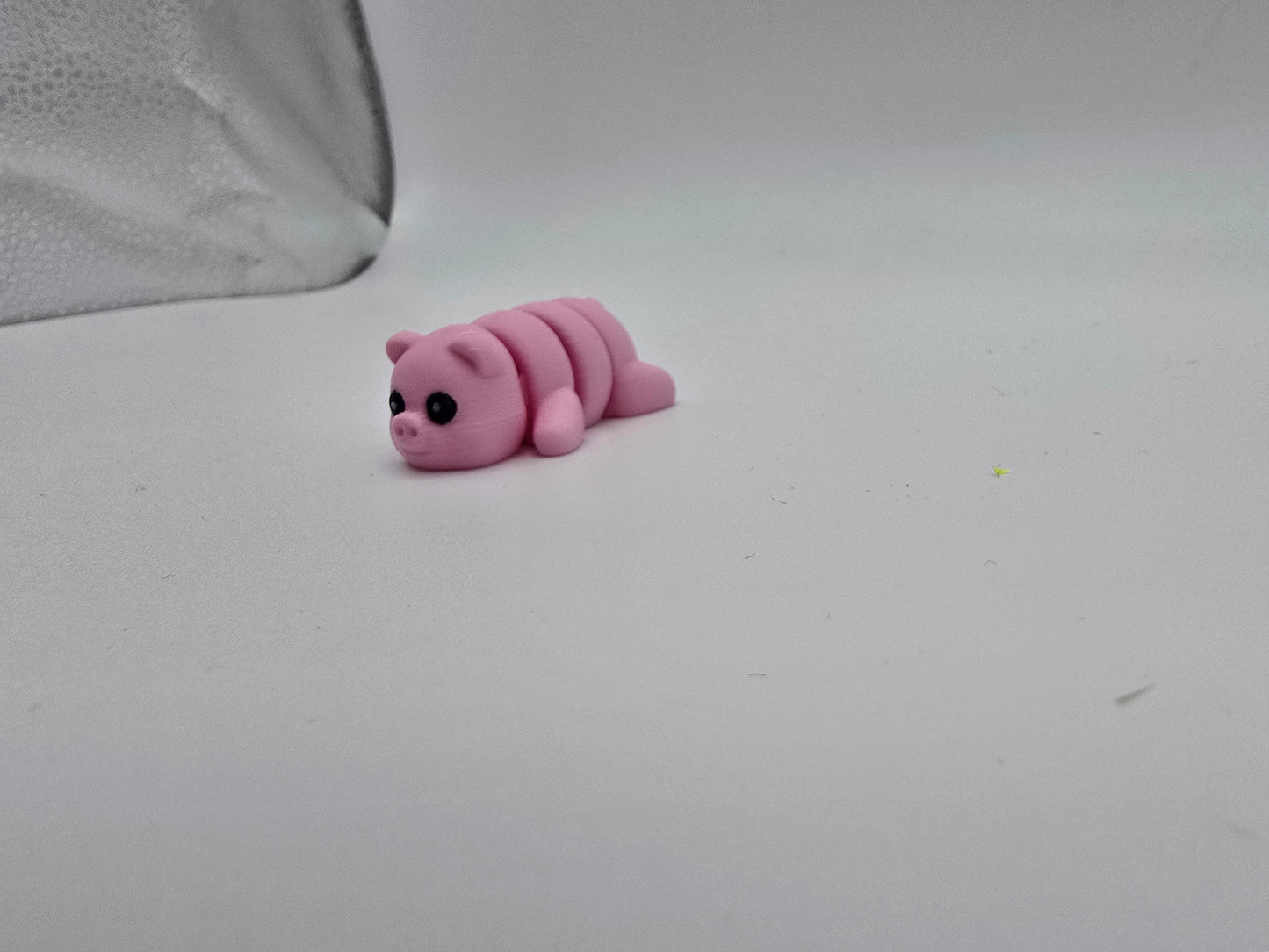 Mini Pig