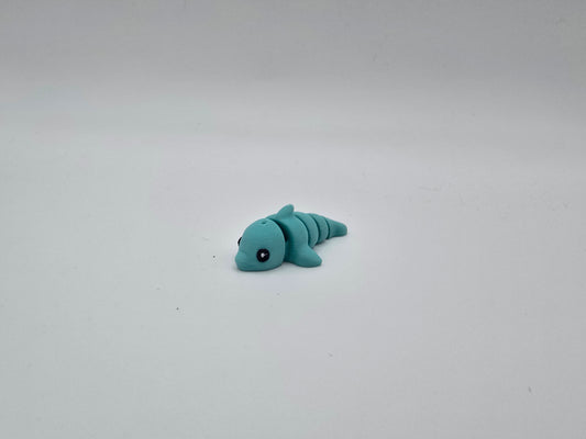 Mini Dolphin