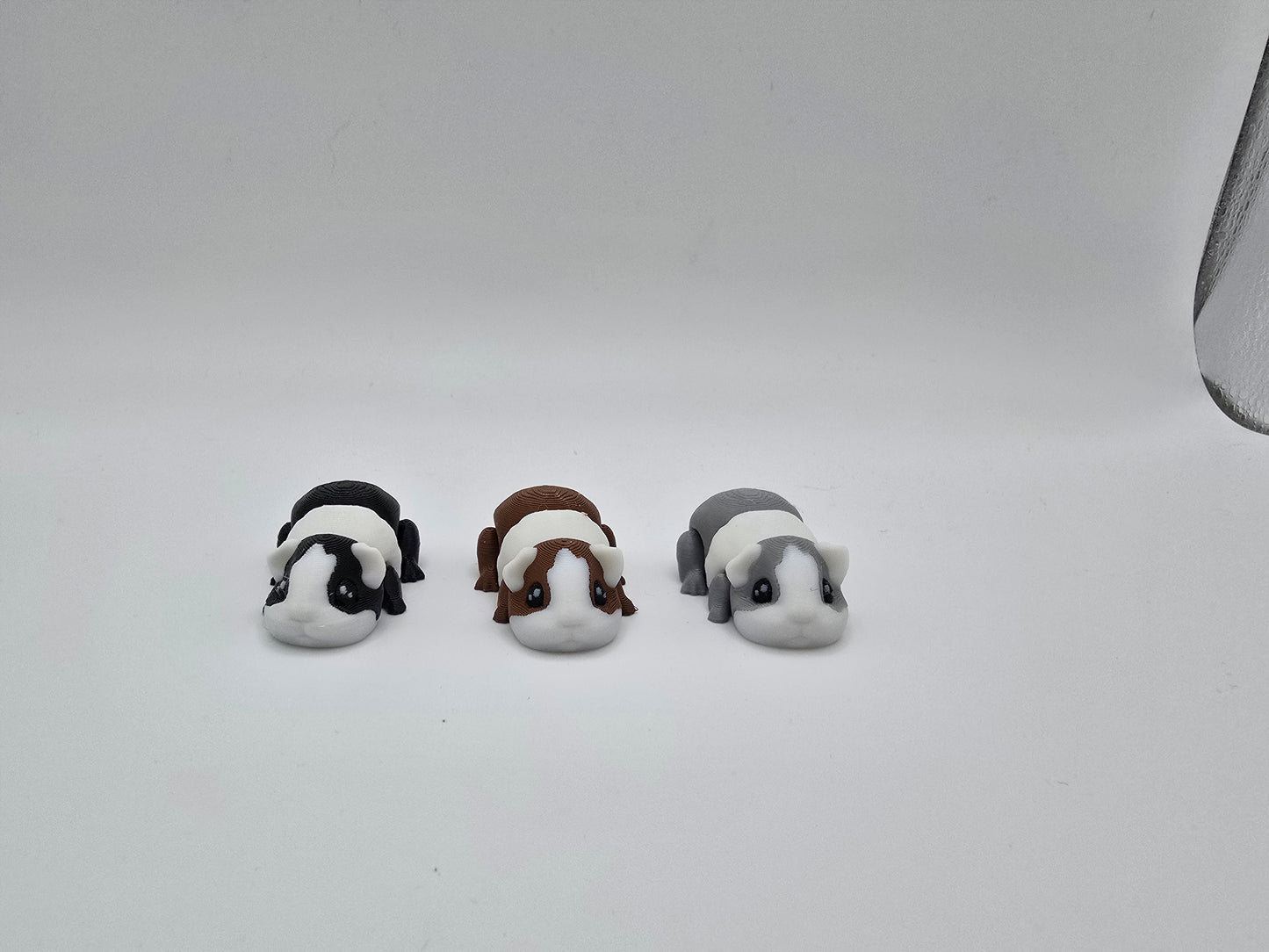 Mini Guinea Pigs