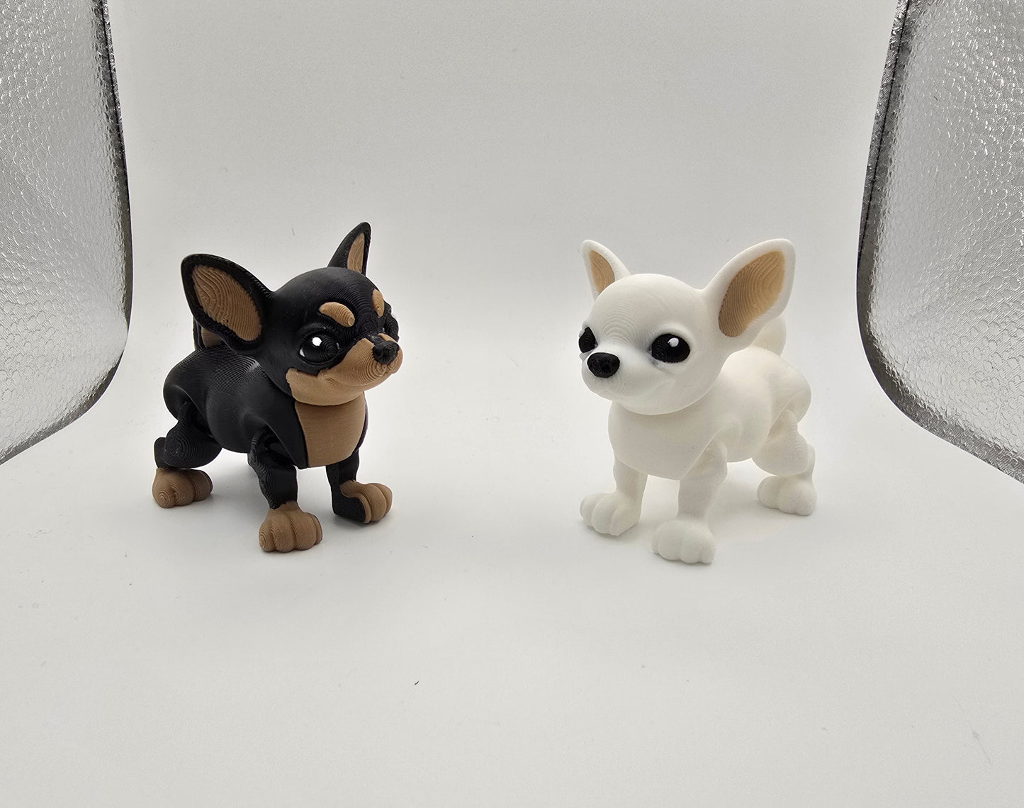 Chihuahua