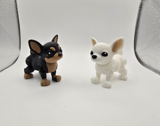 Chihuahua