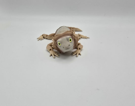 Medium Bearded Dragon