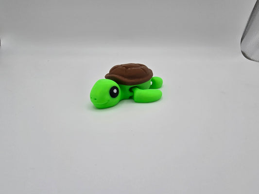 Turtle