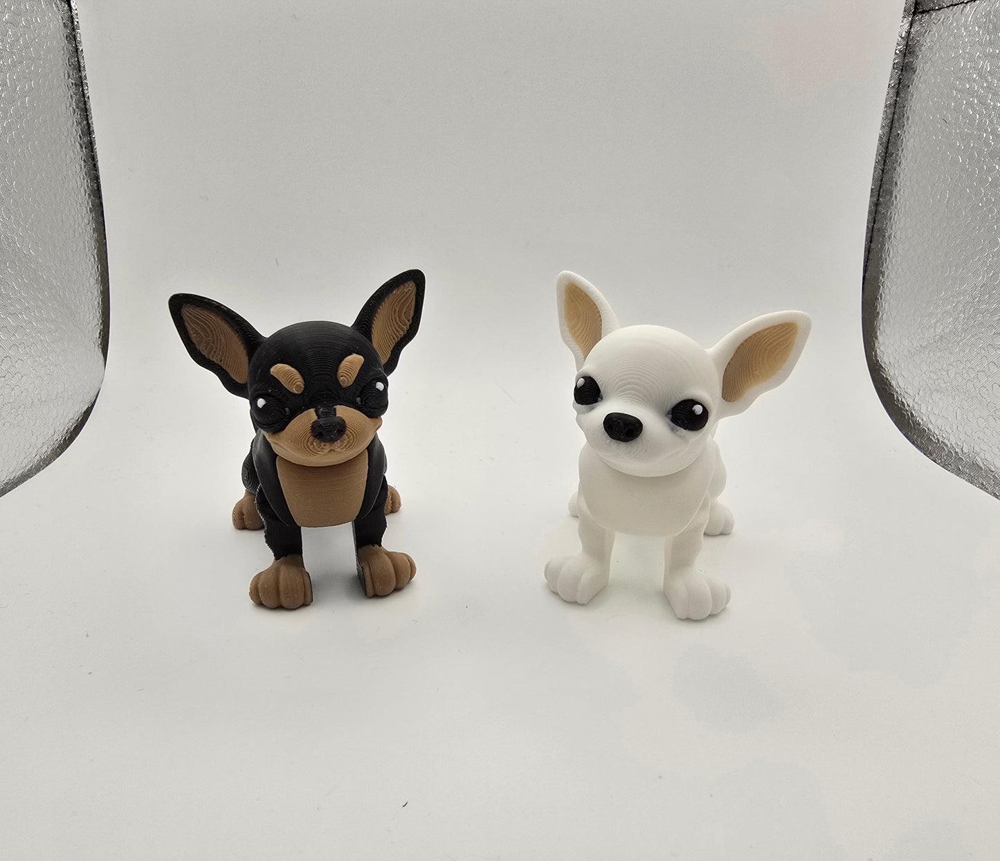 Chihuahua