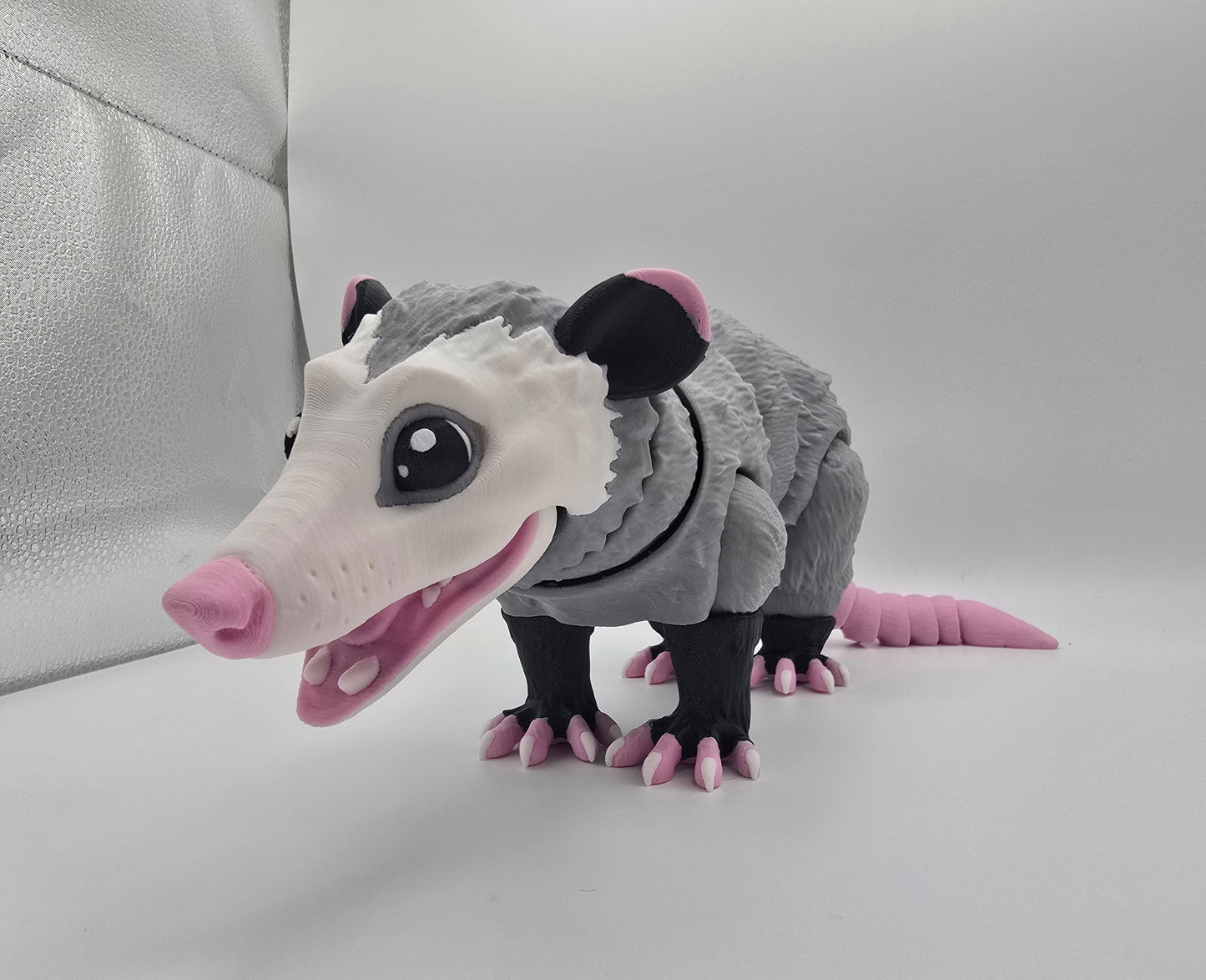 Large Opossum