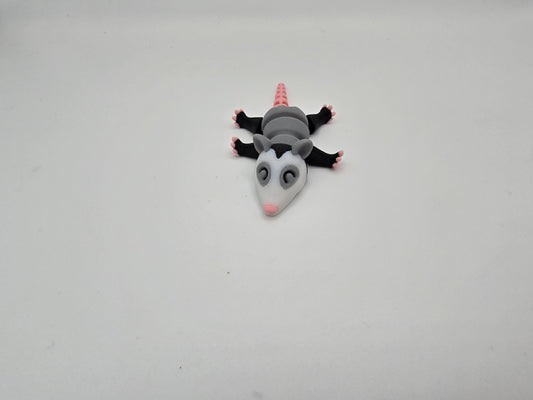 Baby Opossum